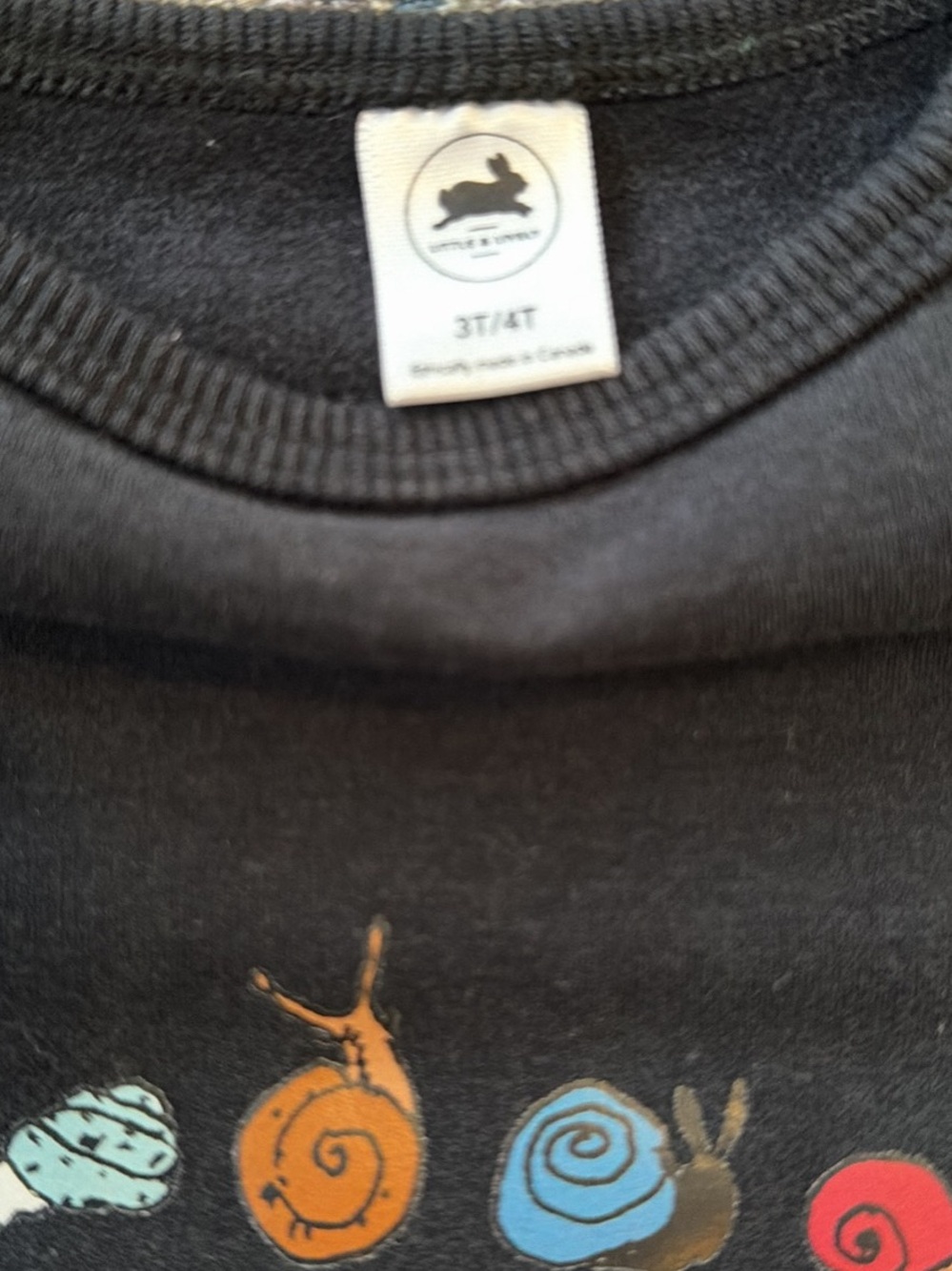 Little and Lively Fleece Bamboo 3/4T' Black Graphic Sweater - Snail Print